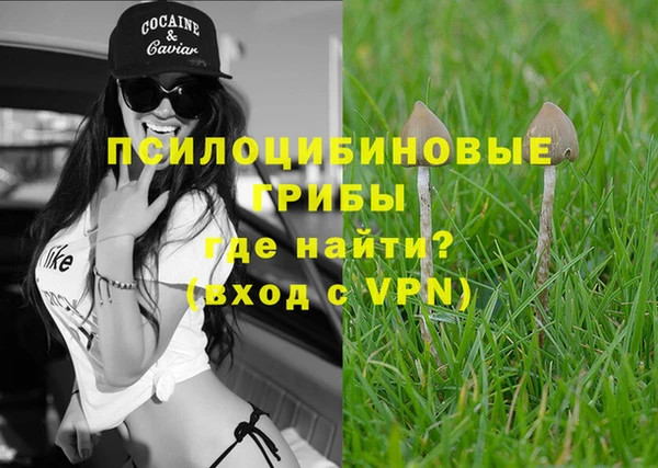 прущая мука Бородино