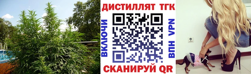 Дистиллят ТГК вейп с тгк Малаховка